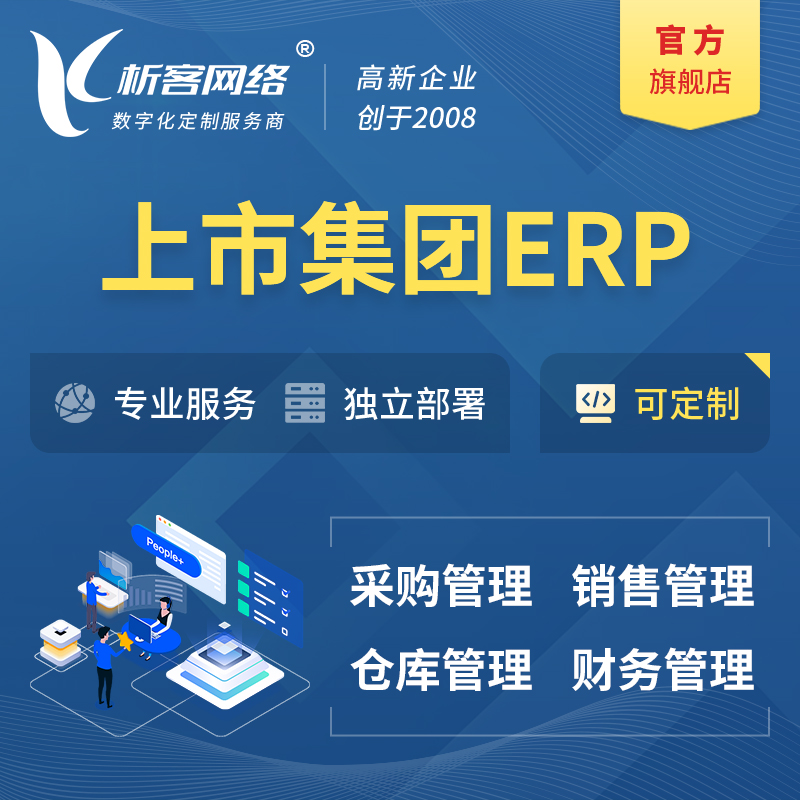 嘉兴上市集团ERP软件生产MES车间管理系统